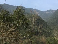 -白云源风景区