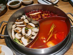 -青瓷火锅料理(西单大悦城店)