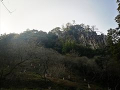 -广州市石门国家森林公园