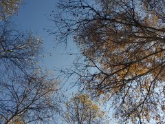 -塞罕坝国家级自然保护区