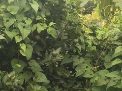 picture-小象钓虾·营地烧烤(洛溪店)
