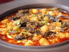 -狼诱惑(泰山大街店)