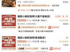 -福苗小骆驼烧烤(大唐不夜城店)