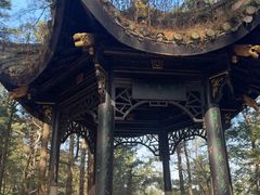 -四明山国家森林公园