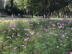 -回龙观体育文化公园