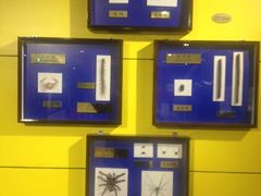 -上海昆虫博物馆