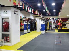 -成泰格斗(环球商业广场店)
