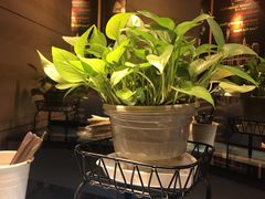 -比格比萨自助(宋家庄店)