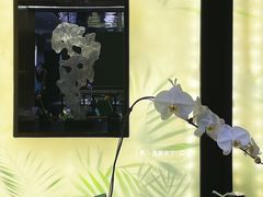 -宫燕府·京菜·烤鸭·淮扬菜(王府中心店)