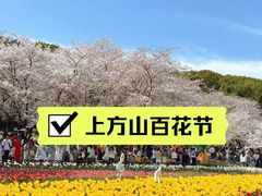 -苏州上方山国家森林公园