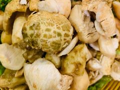 -易门野生菌府·菌海森林(月牙潭公园店)