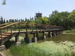 -东郊湿地公园
