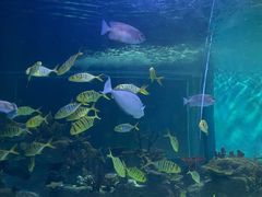 -常州海昌海洋探索馆