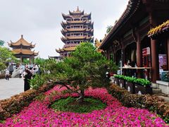 -黄鹤楼公园(黄鹤楼)