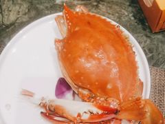 -中苑海韵
