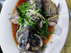 清蒸石斑鱼-波记美食店·现捞海鲜