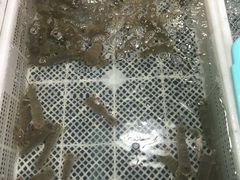 -霞涌市场海鲜摆卖区