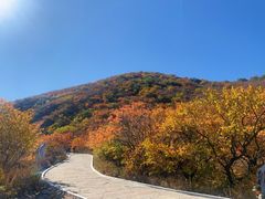 -建平天秀山森林公园