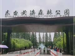 -黄海国家森林公园