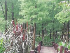 -重庆彩云湖湿地公园