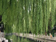 -环城公园