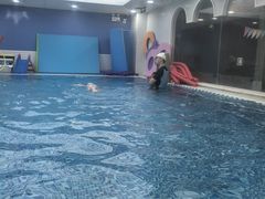 -龙格亲子游泳·水育早教运动中心(龙湾天街店)