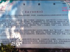 -高子水居
