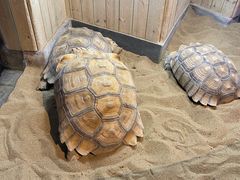 -太奥幻太奇海洋馆
