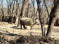 -北京野生动物园