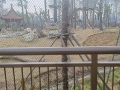 -武汉动物园