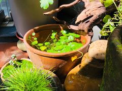 -三峡古玩城(泰古广场店)