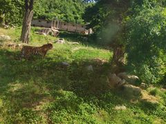 -西安秦岭野生动物园