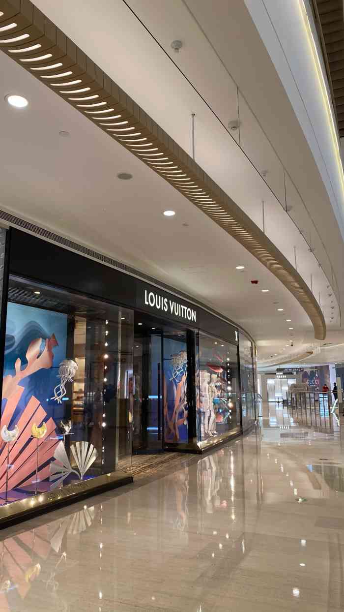 恒隆广场-"周末lv,celine,chanel店前."-大众点评移动版