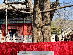 -红螺寺