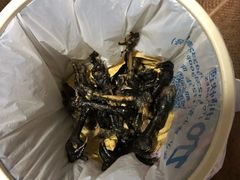 -老字号周记古蔺麻辣鸡·非物质文化遗产传承店