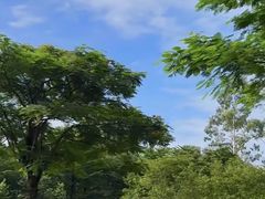 -海珠儿童公园
