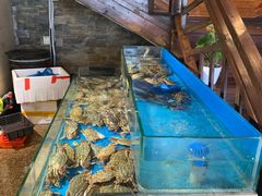 水产区-鹰龙海畔度假酒店(咸祥店)