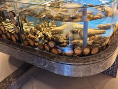 -上和臻品中国菜(花园街店)