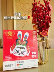 -巍阁高端月子会所