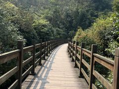 -凤栖山