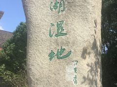 -溱湖国家湿地公园