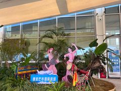 -德宏芒市国际机场