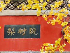-潭柘寺景区