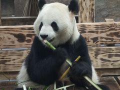 -无锡动物园·太湖欢乐园
