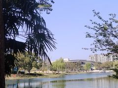 -新江湾城公园