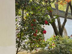 -杭州植物园