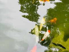 -园林格兰云天大酒店-太极名厨中餐厅