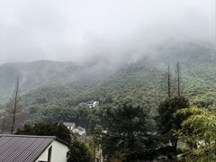-WILDS 野有食(碧坞店)