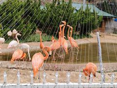 -大连老虎滩海洋公园