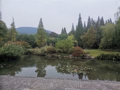 -习家池